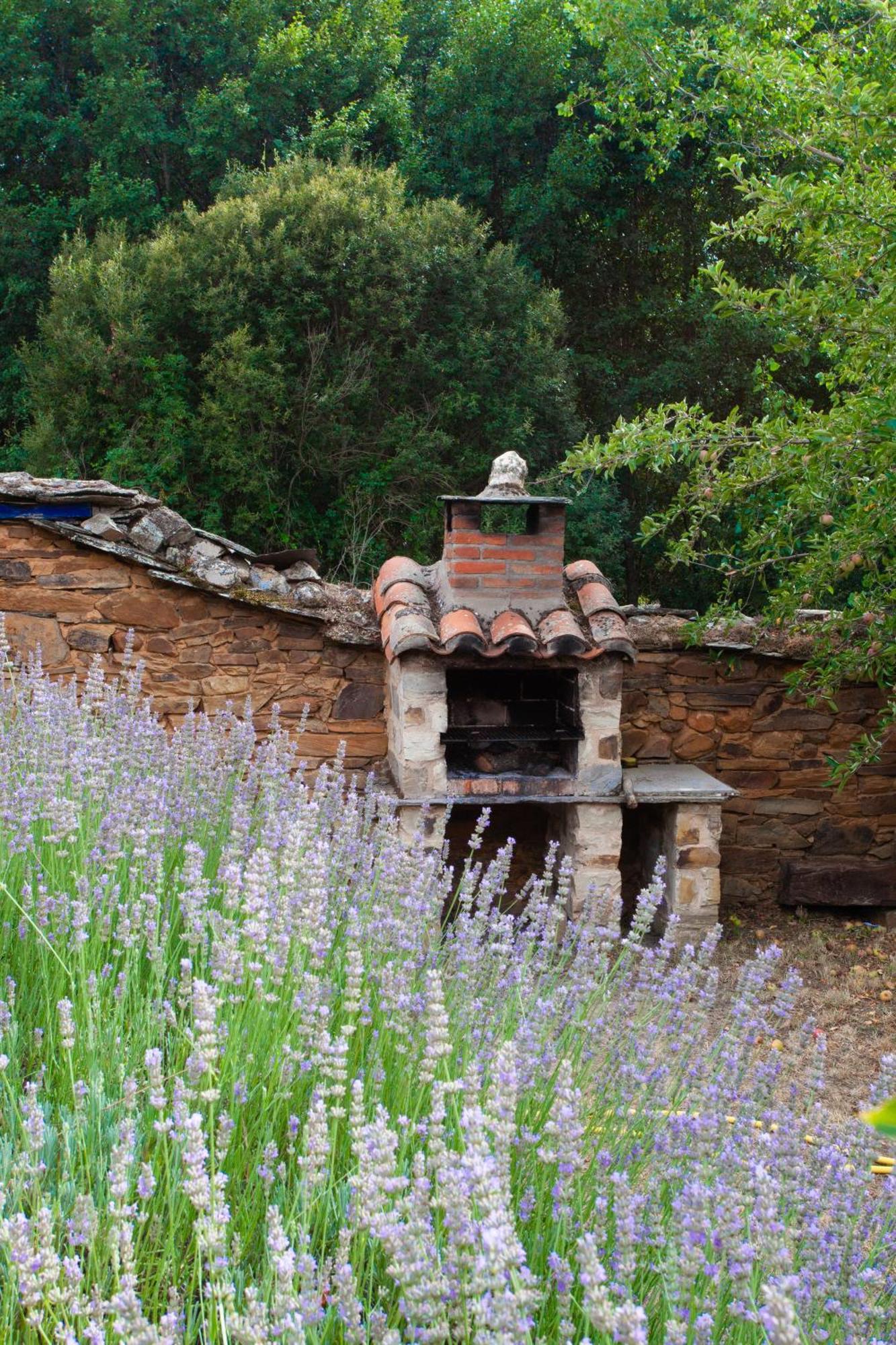 Casa Colomba Villa Santa Colomba de Somoza Екстериор снимка